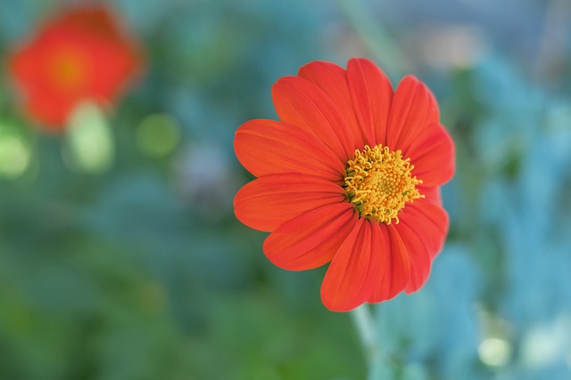 中國足協宣布世預賽40強賽剩余比賽將在蘇州進行.