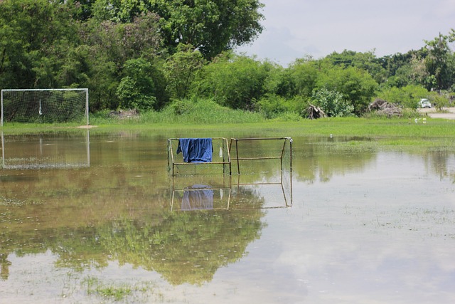 守的强度和 守的强度和