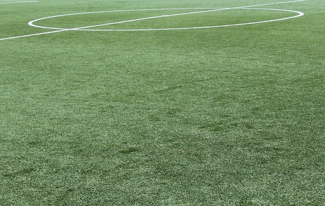 格林的努力